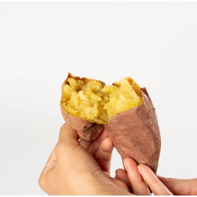 ねっとり甘い熟成蜜焼き芋 1.5kg【配送不可地域：離島・沖縄県】【1618098】