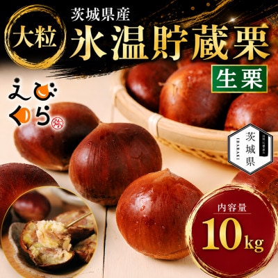 生産者直送 茨城県産 海老澤農園の氷温熟成栗10kg 生栗 大玉 薬剤不使用【配送不可地域：離島・沖縄県】【1745649】