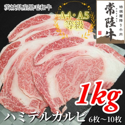 【常陸牛】ハミデルカルビ 1kg(6〜10枚)【配送不可地域：離島・沖縄県】【1560468】