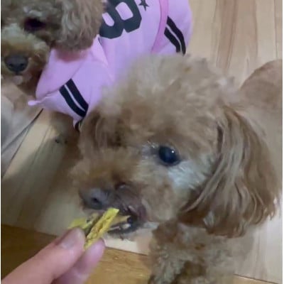 茨城県産ほしいもの未利用部分を使用した犬の無添加おやつ(フレークタイプ30g×4袋)【配送不可地域：離島・沖縄県】【1729690】