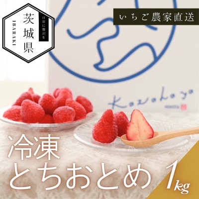 風早いちご園 とちおとめ 冷凍いちご1kg 真空冷凍 長期保存【配送不可地域：離島・沖縄県】【1647800】