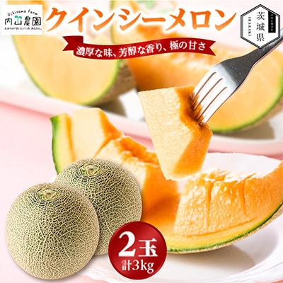 【内山農園】いばらきメロンコンテスト2025クインシーメロン(2玉3kg)2026年5月より発送開始【配送不可地域：離島・沖縄県】【1645300】