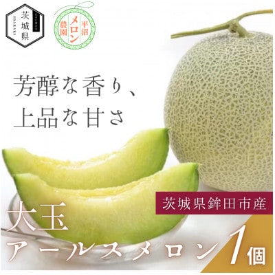 èšåçéŸç°åžç£ ã¢ãŒã«ã¹ã¡ãã³ 2.0kg以äžÃ1çãé
éäžå¯å°åïŒé¢å³¶ã»æ²çžçãã1644495ã