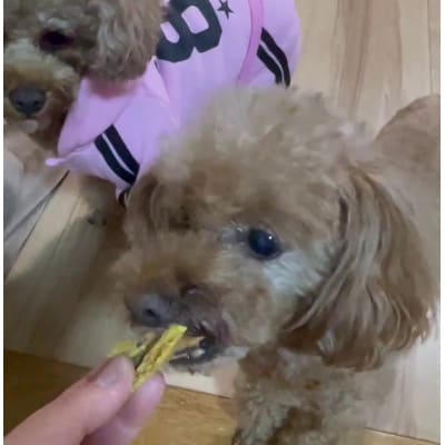 茨城県産ほしいもの未利用部分を使用した犬の無添加おやつ(フレークタイプ90g×4袋)【配送不可地域：離島・沖縄県】【1729693】