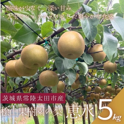【先行受付】2026年9月順次発送 桧山果樹園 茨城県 ブランド梨 恵水5kg【配送不可地域：離島・沖縄県】【1668040】