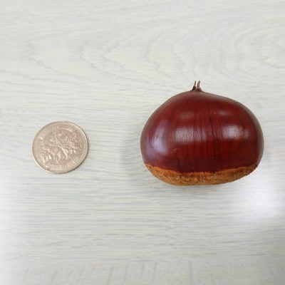 万羊羹飯沼MEIMEI 1箱(45g×3個入り)【配送不可地域：離島・沖縄県】【1631236】