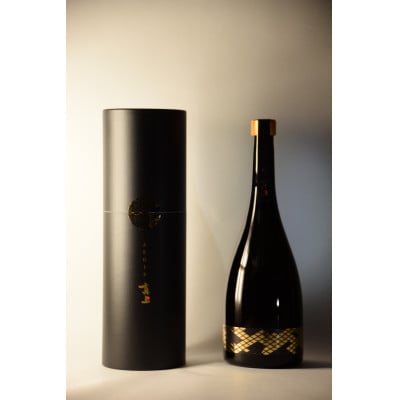 真上 AEGIS【配送不可地域：離島・沖縄県】【1602910】