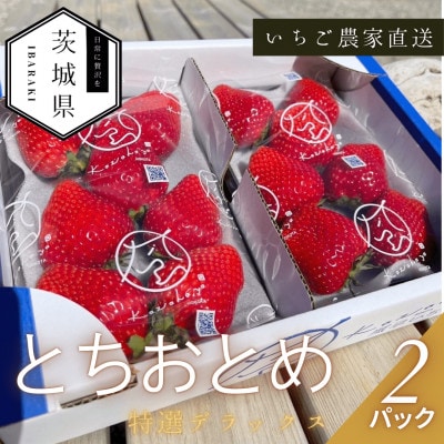 ã2026幎1æé 次çºéã颚æ©ãã¡ãå ãšã¡ããšã ç¹éžãã©ãã¯ã¹ 2ããã¯ãé
éäžå¯å°åïŒé¢å³¶ã»åæµ·éã»æ²çžçãã1647797ã