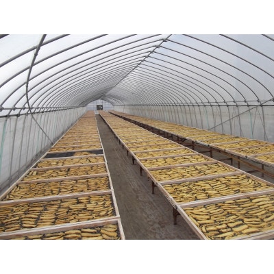 石塚さん　紅はるか干し芋　平干し300g×3袋・丸干し250g×3袋　計6袋セット【配送不可地域：離島・沖縄県】【1691894】