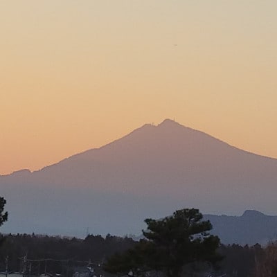 èšåçç£ããã²ããããã¯ã¹ çœç±³5kg 什å7幎ç£ãé
éäžå¯å°åïŒé¢å³¶ã»æ²çžçãã1700053ã