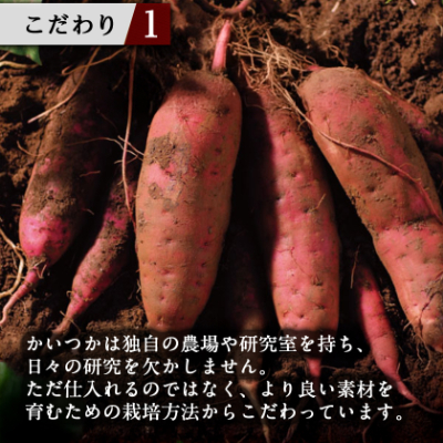 蔵出し焼き芋かいつか紅天使冷凍焼き芋1kg(500g×2袋) 茨城県産さつまいもを使用した冷凍焼き芋【配送不可地域：離島・沖縄県】【1635745】