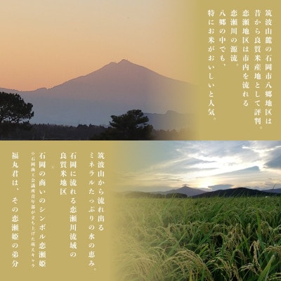 食味ランク【特A】茨城県オリジナル★筑波山麓厳選米★【福丸】白米5kg×2袋　計10kg 令和7年産【配送不可地域：離島・沖縄県】【1734906】