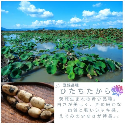 ãèšåçç£ãæãããŠãããã èš2kgãé
éäžå¯å°åïŒé¢å³¶ã»æ²çžçãã1696244ã