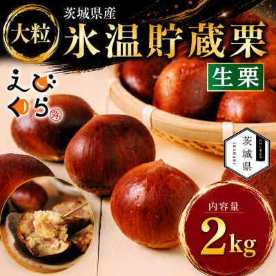 生産者直送 茨城県産 海老澤農園の氷温熟成栗2kg 生栗 大玉 薬剤不使用【配送不可地域：離島・沖縄県】【1745647】