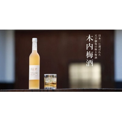 木内酒造　梅酒・梅果実酒・柚子ワインセット【配送不可地域：離島・沖縄県】【1655487】