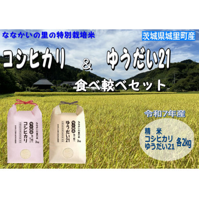令和7年産【特別栽培米】「コシヒカリ」&「ゆうだい21」食べ較べセット4kg(2kg×2袋)【配送不可地域：離島・沖縄県】【1557707】