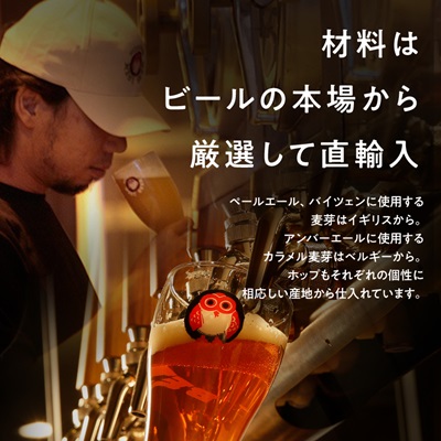 常陸野ネストビールだいだいエール入り飲み比べ8本セット【配送不可地域：離島・沖縄県】【1655484】