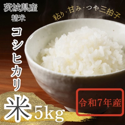 【茨城県産】2025年新米 茨城県産 コシヒカリ米(精米)5kg【配送不可地域：離島・沖縄県】【1696591】