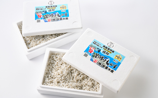 極鮮 èšåã»é¹¿å³¶ç åžžéžä¹åœããããéæããããã 660g(330gÃ2ç®±) å·å䟿ãé
éäžå¯å°åïŒé¢å³¶ã»æ²çžçãã1674816ã