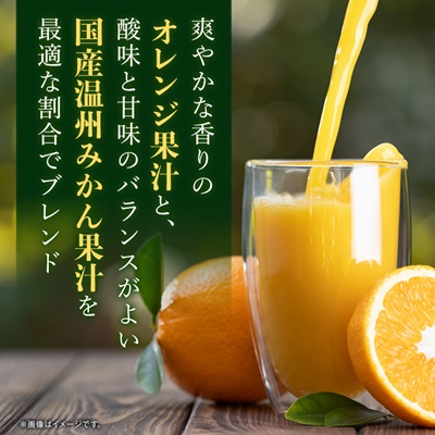 えひめ飲料　ポンジュース1L×6本【配送不可地域：離島・沖縄県】【1499873】