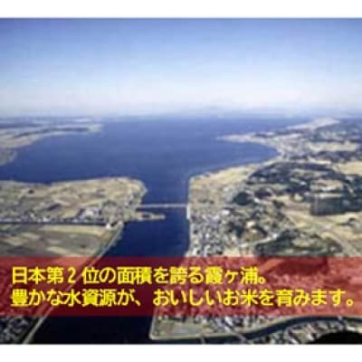 筑波山麓産米を中心に厳選した【茨城県産こしひかり】白米5kg 令和7年産【配送不可地域：離島・沖縄県】【1699599】