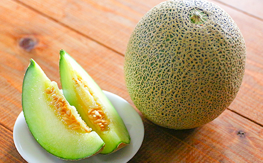 ベルファームの冷凍メロンジュース 茨城県産メロン100% 100g×15袋 【離島・沖縄配送不可】【配送不可地域：離島・沖縄県】【1443649】