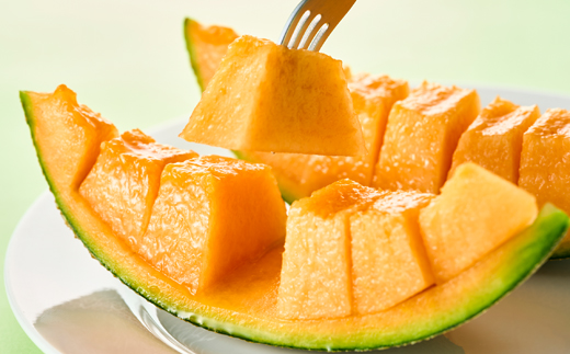 【先行受付】令和8年4月順次発送 茨城県鉾田市 山一ファーム クインシーメロン 大玉4L〜5L・2玉【配送不可地域：離島・沖縄県】【1590731】