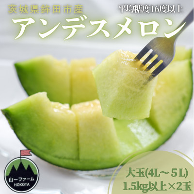 【先行受付】令和8年4月順次発送 茨城県鉾田市 山一ファーム アンデスメロン 大玉 4L〜5L・2玉【配送不可地域：離島・沖縄県】【1590729】