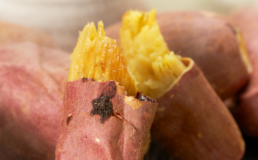 茨城県産 さつまいも 冷凍焼き芋  1.5kg(500g×3袋)【配送不可地域：離島・沖縄県】【1650977】