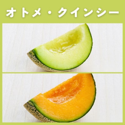 茨城県産オトメ・クインシーメロンセット優品または秀品3L以上2玉入【2026年4月下旬以降順次発送】【配送不可地域：離島・北海道・沖縄県・中国・四国・九州】【1686249】