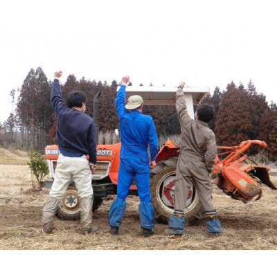 奇跡のハーブ ホーリーバジルティー【ホーリーバジル6個×2袋、レモングラス6個×1袋】【配送不可地域：離島・沖縄県】【1719299】