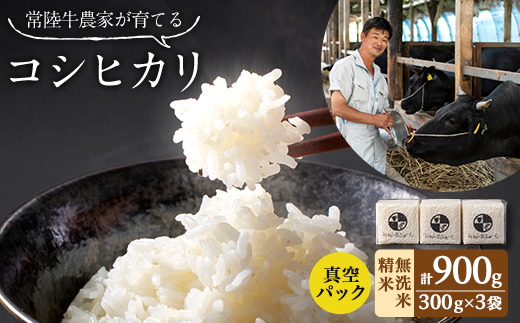 什å7å¹Žç£ èšåçç£ åžžéžç蟲家ãè²ãŠãã³ã·ãã«ãª 粟米 ç¡æŽç±³ åå
è£
300g(2å)Ã3è¢ãé
éäžå¯å°åïŒé¢å³¶ã»æ²çžçãã1601850ã