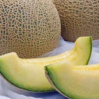 【令和5年 品質優良賞受賞】メロンの王様!イバラキング【特秀】2玉【配送不可地域：離島・沖縄県】【1691476】