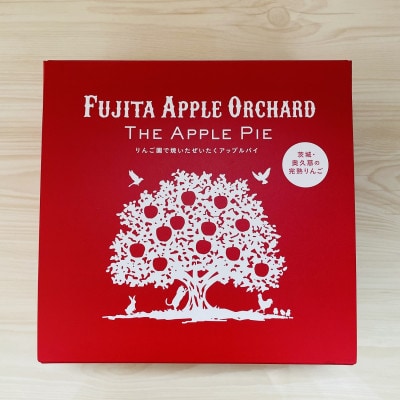 りんご園で焼いた ぜいたくアップルパイ 1ホール【配送不可地域：離島・沖縄県】【1605392】