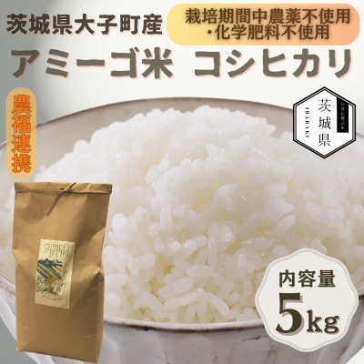 令和7年産新米 アミーゴ米5kg(コシヒカリ・天日干し)【自然の力　栽培期間中農薬・化学肥料不使用】【配送不可地域：離島・沖縄県】【1702218】