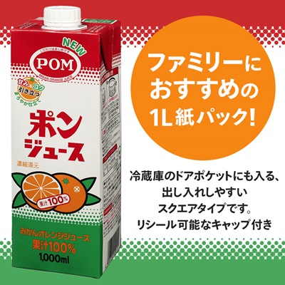 えひめ飲料　ポンジュース1L×6本【配送不可地域：離島・沖縄県】【1499873】