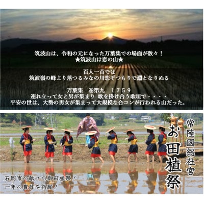 【玄米20kg⇒五分搗き米】筑波山麓厳選★検査1等米こしひかり【恋瀬姫の舞】令和7年産【配送不可地域：離島・沖縄県】【1733486】