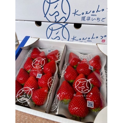 ã2026幎1æé 次çºéã颚æ©ãã¡ãå ãšã¡ããšã ç¹éžãã©ãã¯ã¹ 2ããã¯ãé
éäžå¯å°åïŒé¢å³¶ã»åæµ·éã»æ²çžçãã1647797ã