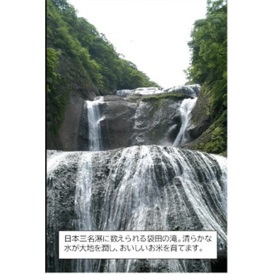 筑波山麓産 食べ比べ3種セット(あきたこまち・ひとめぼれ・ふくまる)各5kg 計15kg【配送不可地域：離島・沖縄県】【1734926】