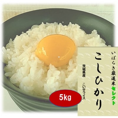 筑波山麓産米を中心に厳選した【茨城県産こしひかり】白米5kg 令和7年産【配送不可地域：離島・沖縄県】【1699599】