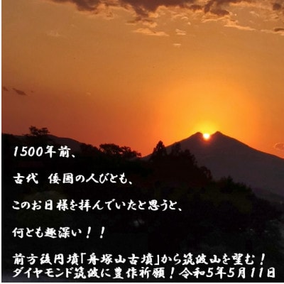 筑波山麓産米を中心に厳選した【茨城県産こしひかり】白米5kg 令和7年産【配送不可地域：離島・沖縄県】【1699599】