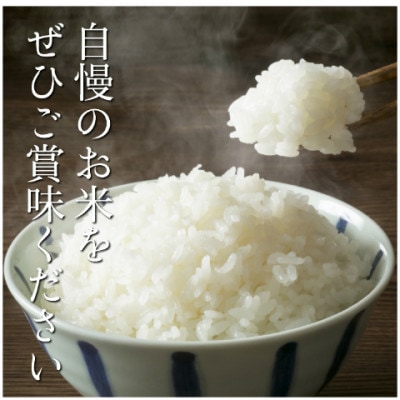 令和7年産　奥久慈大子町産コシヒカリ　精米　計10kg【配送不可地域：離島・沖縄県】【1697079】