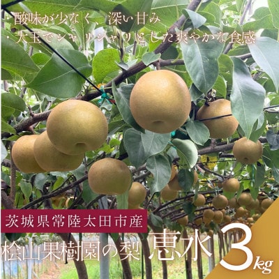 【先行受付】2026年9月順次発送 桧山果樹園 茨城県 ブランド梨 恵水3kg【配送不可地域：離島・沖縄県】【1668041】