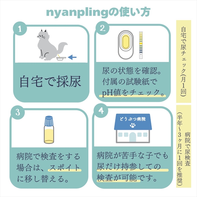 【スポイトｐH試験紙付】犬猫用おしっこチェックセット　×6個【 ペット用品 茨城県 日立市 】