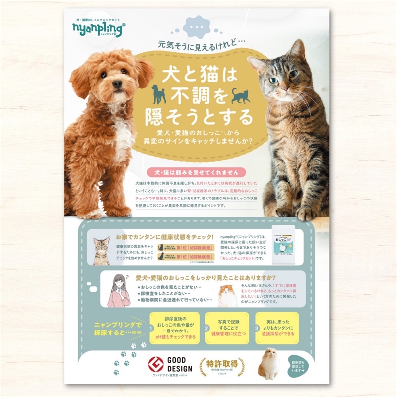 【スポイトｐH試験紙付】犬猫用おしっこチェックセット　×12個【 ペット用品 茨城県 日立市 】