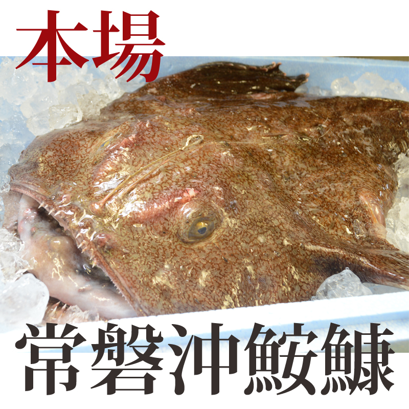 【2027年3月発送】常磐沖のあんこう鍋（3～6人前）とあんこう唐揚げセット〈出荷時期:2027年3月1日出荷開始～2027年3月29日出荷終了〉