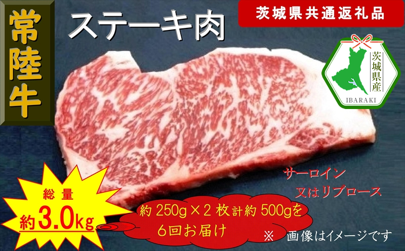 【6か月定期便】【常陸牛】ステーキ用肉 約500g【定期便】計6回 総量約3,000g（茨城県共通返礼品）【常陸牛　茨城県産　日立市】