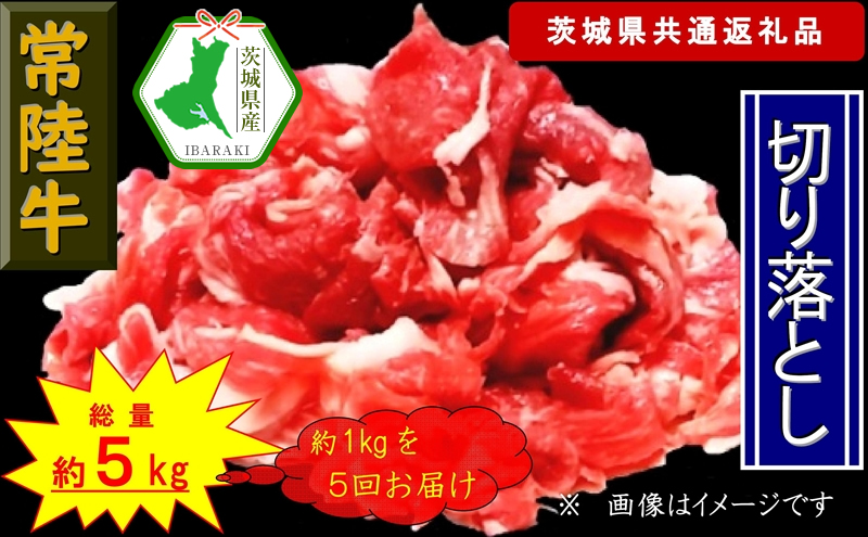 【5か月定期便】【常陸牛】切り落とし 約1kg【定期便】計5回 総量約5kg（茨城県共通返礼品）【常陸牛　茨城県産　日立市】