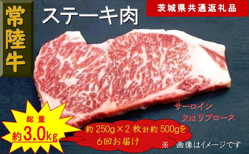 【6か月定期便】【常陸牛】ステーキ用肉 約500g【定期便】計6回 総量約3,000g（茨城県共通返礼品）【 常陸牛 茨城県 日立市 】