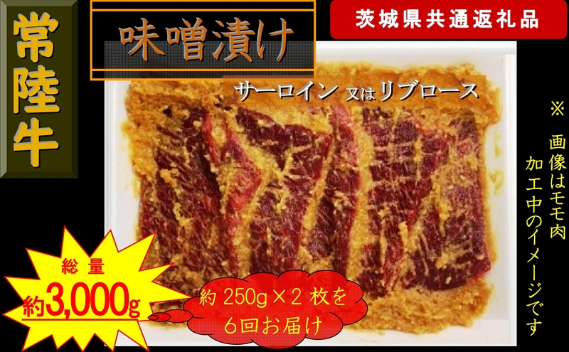 【6か月定期便】【常陸牛】常陸牛の味噌漬け（サーロイン又はリブロース）約500g【定期便】計6回 総量約3,000g（茨城県共通返礼品）【 常陸牛 茨城県 日立市 】